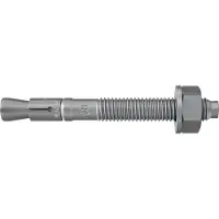 Fischer 507596 FBN II 12/100 fvz Boutanker 196 mm 12 mm 20 stuk(s)
