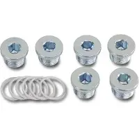 Beta 6-delig set carterpluggen en opvulringen 1495T M17X1,50 - 014950517