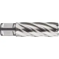 Rotec HSS Kernboor SILVER-LINE, weldon 19, ø45x55 - 536.4501W