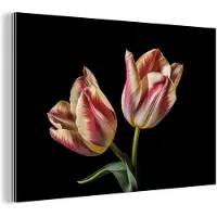 MuchoWow Wanddecoratie Metaal - Aluminium Schilderij Industrieel - Tulpen - Bloemen - Roze - Wit - Natuur - 120x80 cm - Dibond - Foto op aluminium - Industriële muurdecoratie - Voor de woonkamer/slaapkamer