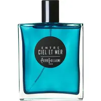 Pierre Guillaume Entre ciel et mer EdP Nat. Spray Parfum 50 ml Heren