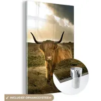 MuchoWow Glasschilderij - Schotse Hooglander - Zon - Duin - Natuur - Dieren - 60x90 cm - Acrylglas Schilderijen - Foto op Glas - Muurdecoratie