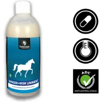 Synovium Ginger MSM Liniment
