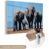 MuchoWow Glasschilderij 180x120 cm - Schilderij acrylglas - Olifant - Vlakte - Dieren - Natuur - Foto op glas - Schilderijen