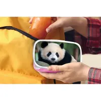 MuchoWow Broodtrommel Roze - Lunchbox - Brooddoos - Panda - Wilde dieren - Portret - Steen - 18x12x6 cm - Kinderen - Meisje