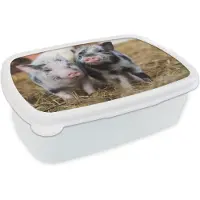 MuchoWow Broodtrommel Wit - Lunchbox - Brooddoos - Varken - Dieren - Varkentje - 18x12x6 cm - Volwassenen