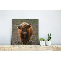 MuchoWow Glasschilderij 20x20 cm - Schilderij acrylglas - Schotse Hooglander - Heide - Dieren - Foto op glas - Schilderijen
