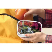 MuchoWow Broodtrommel Wit - Lunchbox - Brooddoos - Regenboog - Waterval - Bomen - Stenen - Mos - 18x12x6 cm - Volwassenen