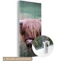 MuchoWow Glasschilderij 40x80 cm - Schilderij acrylglas - Schotse Hooglander - Hoorns - Gras - Foto op glas - Schilderijen