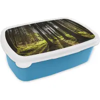 MuchoWow Broodtrommel Blauw - Lunchbox - Brooddoos - Boom - Natuur - Zon - Bos - 18x12x6 cm - Kinderen - Jongen