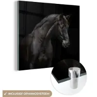 MuchoWow Glasschilderij 50x50 cm - Schilderij acrylglas - Paard - Dieren - Zwart - Portret - Foto op glas - Schilderijen