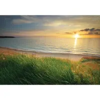 Consalnet Vliesbehang - Fotobehang - Landschap - Strand - Natuur - Zee - Water - Zon - 254x368cm