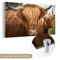 MuchoWow Glasschilderij 120x60 cm - Schilderij acrylglas - Schotse Hooglanders - Bruin - Gras - Foto op glas - Schilderijen