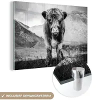 MuchoWow Glasschilderij 60x40 cm - Schilderij acrylglas - Schotse Hooglander - Berg - Zwart - Wit - Foto op glas - Schilderijen