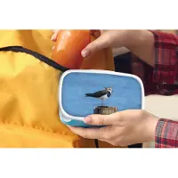 MuchoWow Broodtrommel Blauw - Lunchbox - Brooddoos - Vogel - Dieren - Paal - Blauw - Kievit - 18x12x6 cm - Kinderen - Jongen