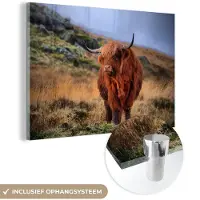 MuchoWow Glasschilderij 180x120 cm - Schilderij acrylglas - Schotse Hooglander - Gras - Stenen - Foto op glas - Schilderijen