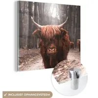MuchoWow Glasschilderij 20x20 cm - Schilderij acrylglas - Schotse hooglander - Bos - Koe - Dieren - Natuur - Foto op glas - Muurdecoratie woonkamer - Wanddecoratie slaapkamer - Schilderijen