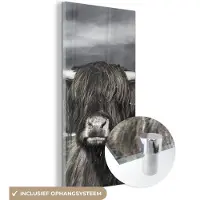 MuchoWow Glasschilderij 60x120 cm - Schilderij acrylglas - Schotse Hooglander - Dieren - Hoorns - Foto op glas - Schilderijen