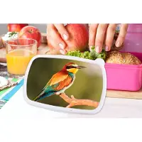 MuchoWow Broodtrommel Roze - Lunchbox - Brooddoos - Vogels - Bijeneter - Regenboog - Dieren - 18x12x6 cm - Kinderen - Meisje