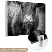 MuchoWow Glasschilderij 180x120 cm - Schilderij acrylglas - Schotse hooglander - Koe - Zwart - Wit - Dieren - Foto op glas - Muurdecoratie woonkamer - Wanddecoratie slaapkamer - Schilderijen