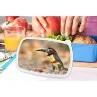 MuchoWow Broodtrommel Blauw - Lunchbox - Brooddoos - Vogel - Toekan - Veren - Natuur - 18x12x6 cm - Kinderen - Jongen