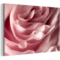 MuchoWow Wanddecoratie Metaal - Aluminium Schilderij Industrieel - Rozenblaadjes - Rozen - Roze - 180x120 cm - Dibond - Foto op aluminium - Industriële muurdecoratie - Voor de woonkamer/slaapkamer