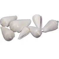 Othmar decorations Decoratie/hobby schelpen - 500 gr - gebleekt wit - Hobbydecoratieobject