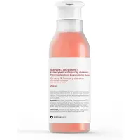 Botanicapharma - Ginseng & Rosemary Shampoo Anti-Hair Loss Ginseng & Rosemary 250Ml