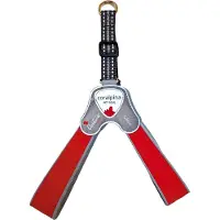 Coralpina Luxe - Hondenharnas - Faloria rood - Maat 1 – 20-30 cm / 0,8-3 kg