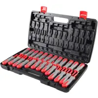 Ragnor Stekker Disconnect Set - 25-delig - Voor Auto en Elektronica - Precisie Gereedschap