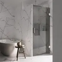Saniclear Modern rookglas douchedeur profielloos 90x200cm rvs