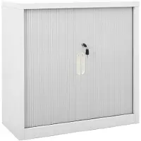 vidaXL Roldeurkast 90x40x90 cm staal grijs