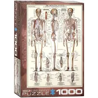Eurographics Skeletal System Puzzel (1000 stukjes)
