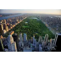 Consalnet Vliesbehang - Fotobehang - New York - Central Park - Manhattan - Wolkenkrabber - Natuur - Park - Stad - 254x368 cm (Hoogte x Lengte)