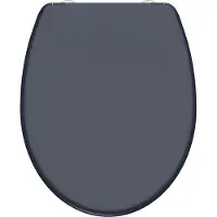 Schutte WC-Bril 82304 ANTHRAZIT - Duroplast - Soft Close - Afklikbaar - RVS-Scharnieren - Belastbaar tot 175 kg - Gelakt - Antraciet