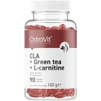 OstroVit cla + groene thee + l-carnitine BI9104