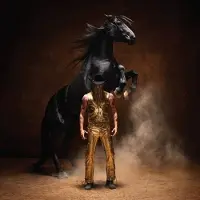 Sony music Orville Peck - Bronco (LP)