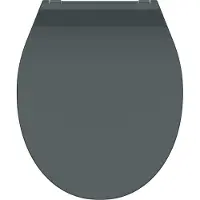 Schutte WC-Bril 82704 SLIM ANTHRAZIT - Duroplast - Super Dun - Soft Close - Afklikbaar - RVS-Scharnieren - Belastbaar tot 175 kg - Gelakt - Antraciet