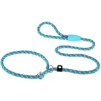 Ferplast Sport 13 Mm 170 Cm Leash Blauw
