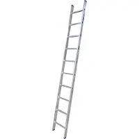 Alumaxx enkele ladder 10 treden
