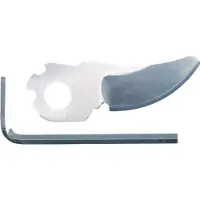 Bosch Blade voor EasyPrune