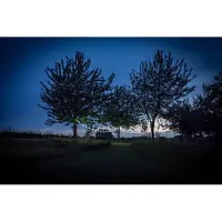 Happy Lights HappyLights lichtsnoer buiten [Outdoor] White - 30 LED's - 15m