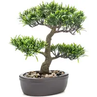 PrettyPlants Bonsai Podocarpus Kunstplant 32cm