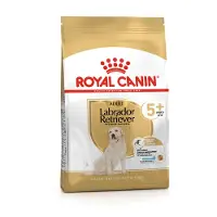 Royal Canin Labrador Retriever Adult 5+