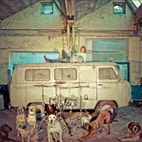 OUTHERE Usé - Chien D'La Casse (LP)