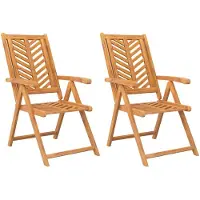 vidaXL Tuinstoelen 2 st verstelbaar massief acaciahout