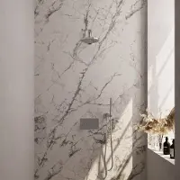 Brauer Chrome Edition thermostatische inbouw regendouche met drukknoppen SET 49 met 20 cm douchekop en rechte muurarm en staaf handdouche en doucheslang en wandaansluitbocht chroom