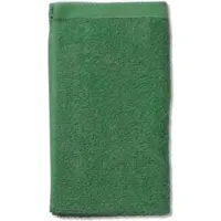 kela Gastendoek, 30 x 50 cm, Blad Groen - | Ladessa