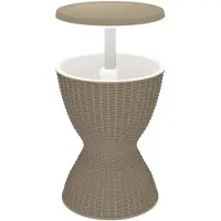 vidaXL IJskoeltafel 3-in-1 polypropeen lichtbruin
