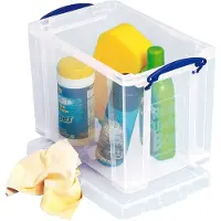 Really Useful Transportbox , inhoud 19 l, L 395 x B 255 x H 290 mm, stapelbaar, met deksel en uitklapbare handgrepen, PP, transparant
